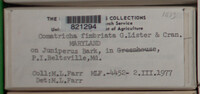 Image Associated With the Occurence